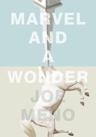 Marvel and a Wonder 1617753947 Book Cover