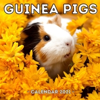 Guinea Pigs Calendar 2021: 16-Month Calendar, Cute Gift Idea For Girls B093BFRF66 Book Cover