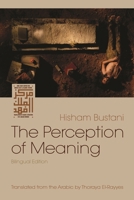 The Perception of Meaning 0815610599 Book Cover