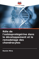 Rôle de l'ostéoprotégérine dans le développement et le remodelage des chondrocytes 6209593232 Book Cover