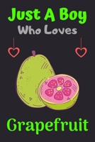Just A Boy Who Loves Grapefruit: A Super Cute Grapefruit notebook journal or dairy | Grapefruit lovers gift for boys | Grapefruit lovers Lined Notebook Journal (6"x 9") 1678963682 Book Cover