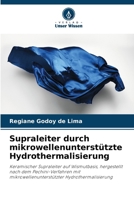 Supraleiter durch mikrowellenunterstützte Hydrothermalisierung (German Edition) 6208277604 Book Cover