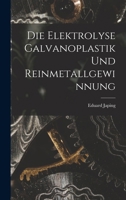 Die Elektrolyse, Galvanoplastik und Reinmetallgewinnung: Mit Besonderer Rücksicht Auf Ihre Anwendung 1016149360 Book Cover