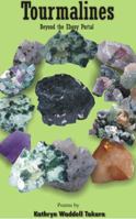 Tourmalines: Beyond the Ebony Portal 0999303929 Book Cover