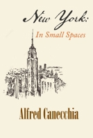 New York: In Small Spaces 1952405149 Book Cover