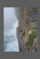Rockface: Weathering the Storms B0CDK21T6L Book Cover