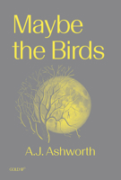 Maybe the Birds (Goldsmiths Press / Gold SF) 191598338X Book Cover