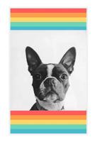 Boston Terrier 1074406206 Book Cover