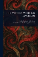 The Wonder-Working Magician 1023076373 Book Cover