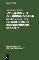 Familienrecht Des Bürgerlichen Gesetzbuches Einschließlich Jugendfürsorgerecht 3112411757 Book Cover