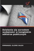 Dzielenie sie wzrostem wydajnosci w kongijskim sektorze publicznym (Polish Edition) 6139759463 Book Cover