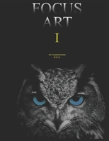 FOCUS ART 1: STYLEDIMAGE VFX 2383460001 Book Cover