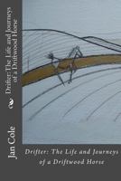 Drifter: The Life and Journeys of a Driftwood Horse: Drifter follows ancient trackways across south west England. 1492280941 Book Cover