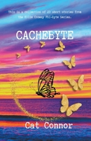 Cachebyte 1067008314 Book Cover