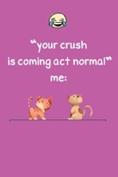 Your Crush is Coming act normal: Funny notebook meme  cats lovers journal for girls kids friends birthday gift pink 6x9 108 blanc pages 165975643X Book Cover