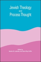 Jewish Theology and Process Thought 0791428109 Book Cover