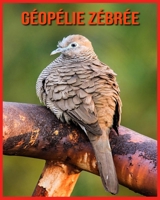 Géopélie Zébrée: Recueil pour Enfants de Belles Images & d’Informations Intéressantes Concernant les Géopélie Zébrée B08WK2JNFN Book Cover