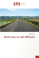 Droit sous un œil différent 6203418390 Book Cover