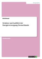 Struktur und Ausblick der Energieversorgung Deutschlands 3656459568 Book Cover
