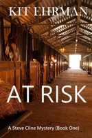 AT RISK: A Steve Cline Mystery (Book One) (Steve Cline Mysteries) B0DWMKCR8S Book Cover