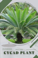 Cycad Plant: Plant Guide B0C1J1WP4C Book Cover