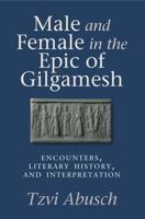 Male and Female in the Epic of Gilgamesh: Encounters, Literary History, and Interpretation 1575063492 Book Cover