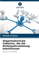 Organisatorische Faktoren, die die Risikowahrnehmung beeinflussen: Analyse und Fallstudie 6206313395 Book Cover
