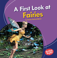 A First Look at Fairies 1728413044 Book Cover