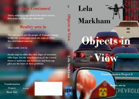 Objects in View 0990935876 Book Cover