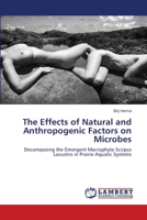 The Effects of Natural and Anthropogenic Factors on Microbes: Decomposing the Emergent Macrophyte Scirpus Lacustris in Prairie Aquatic Systems 383830103X Book Cover