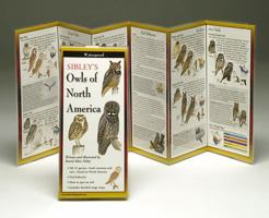 Sibley's Owls of North America 1935380168 Book Cover
