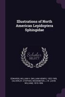 Illustrations of North American Lepidoptera Sphingidae 1378934083 Book Cover