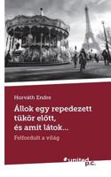 Állok egy repedezett tükör elõtt, és amit látok...: Felfordult a világ 3710334403 Book Cover