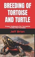 Breeding of Tortoise and Turtle: Proper Husbandry For Terrestrial Turtles And Tortoises B0BXMZ196N Book Cover