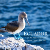 Ecuador 8.5 X 8.5 Photo Calendar January 2020 - June 2021: 18 Monthly Mini Picture Book Cute 2020-2021 Year Blank At A Glance Monthly Colorful Desk Wall Page Planner 2 Years Yearly Overview Large 18 M 1711654868 Book Cover