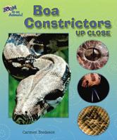 Boa Constrictors Up Close (Zoom in on Animals!) 0766024989 Book Cover