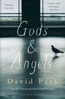 Gods and Angels 1408866080 Book Cover