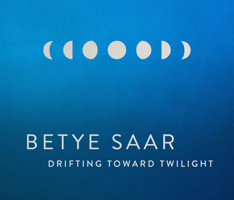 Betye Saar: Drifting Toward Twilight 1646570421 Book Cover