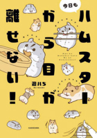 I Can't Take My Eyes Off Hamsters! 4046829125 Book Cover