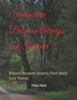 Somewhere Between Always and Forever: Where broken hearts find their way home B0FHK3ZJ1M Book Cover