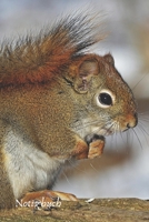 Notizbuch: Tagebuch, Notizbuch mit E-Mail, Telefon und Geburtstagsliste f�r Schule, Hobby und Freizeit. 1671214846 Book Cover