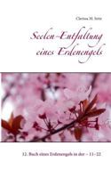 Seelen Entfaltung eines Erdenengels: 12. Buch eines Erdenengels in der 11 22 3746061873 Book Cover