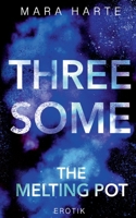 Threesome: The Melting Pot (German Edition) 3753426741 Book Cover