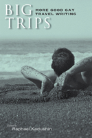Big Trips: More Good Gay Travel Writing (Wisconsin Film Studies)