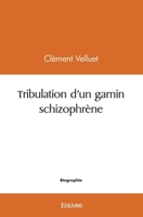 Tribulation d'un gamin schizophrène (French Edition) 241448912X Book Cover