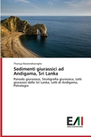 Sedimenti giurassici ad Andigama, Sri Lanka: Periodo giurassico, Stratigrafia giurassica, Letti giurassici dello Sri Lanka, Letti di Andigama, Petrologia 6200553084 Book Cover