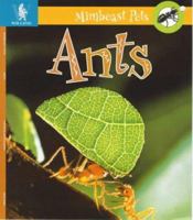The Secret World Of: Ants (The Secret World of) 0739821938 Book Cover
