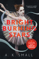 Bright Burning Stars 1616208783 Book Cover