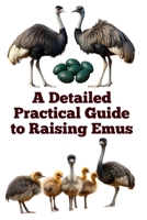 A Detailed Practical Guide to Raising Emus (The Detailed Homestead Flock Series) B0FKSDLZBB Book Cover