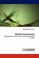 Metal Nanocluster: Morphological aspects of silver nanocluster deposited on silicon 3843354227 Book Cover